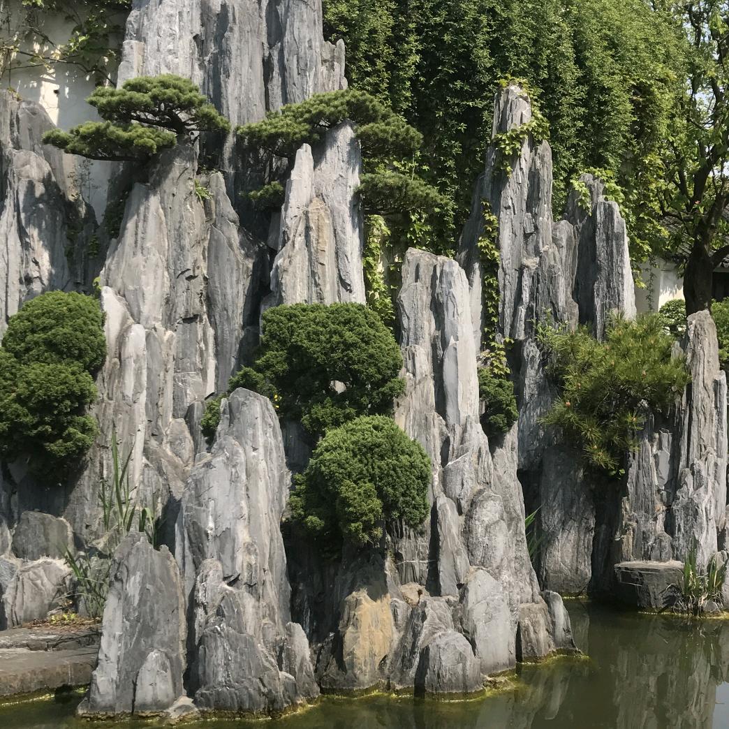 杨里洋气