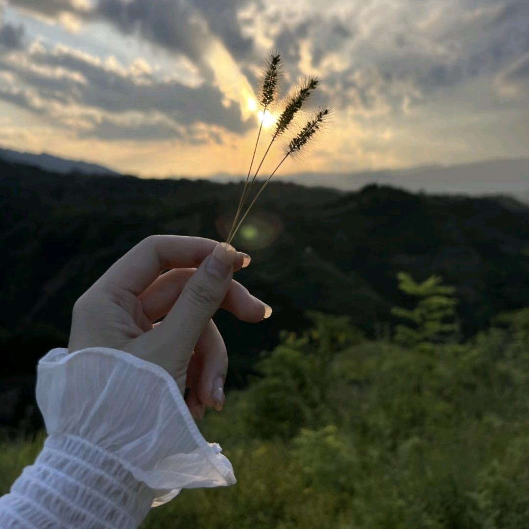 军中花木兰