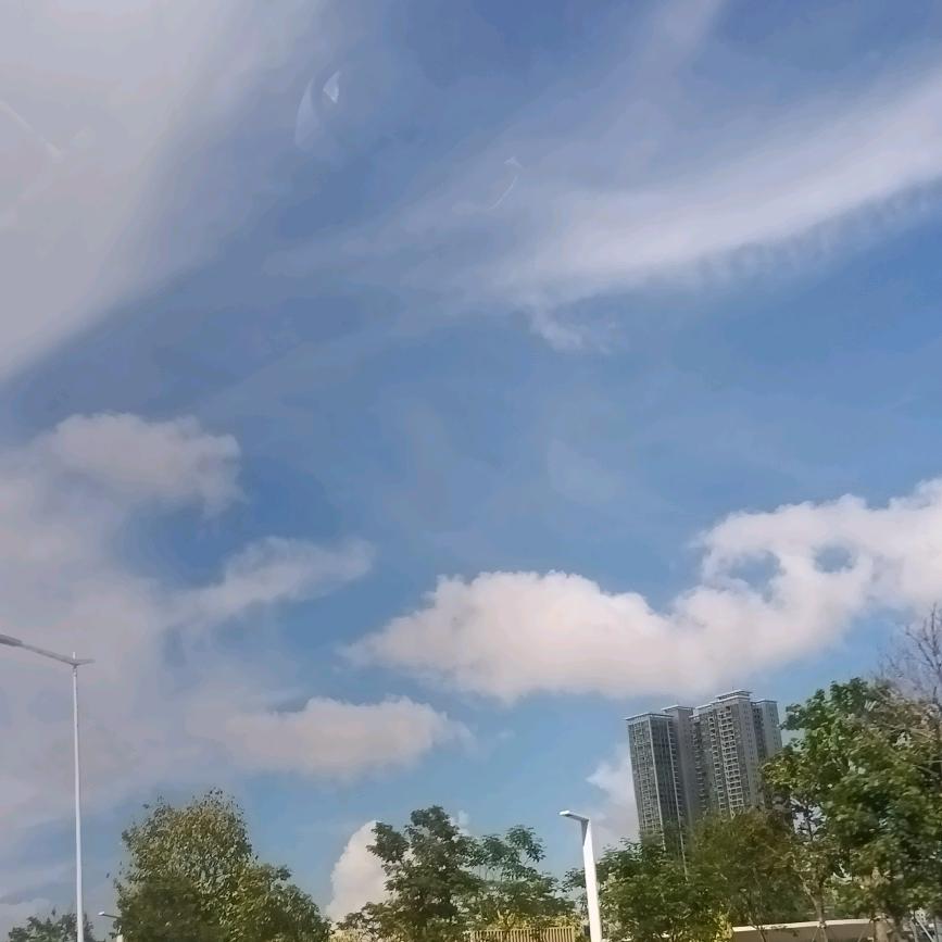 巧克力布丁