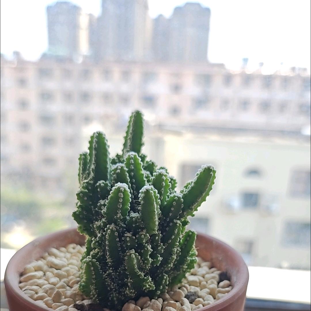 秋天来了