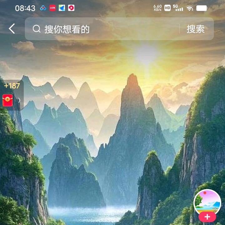 半亩花田