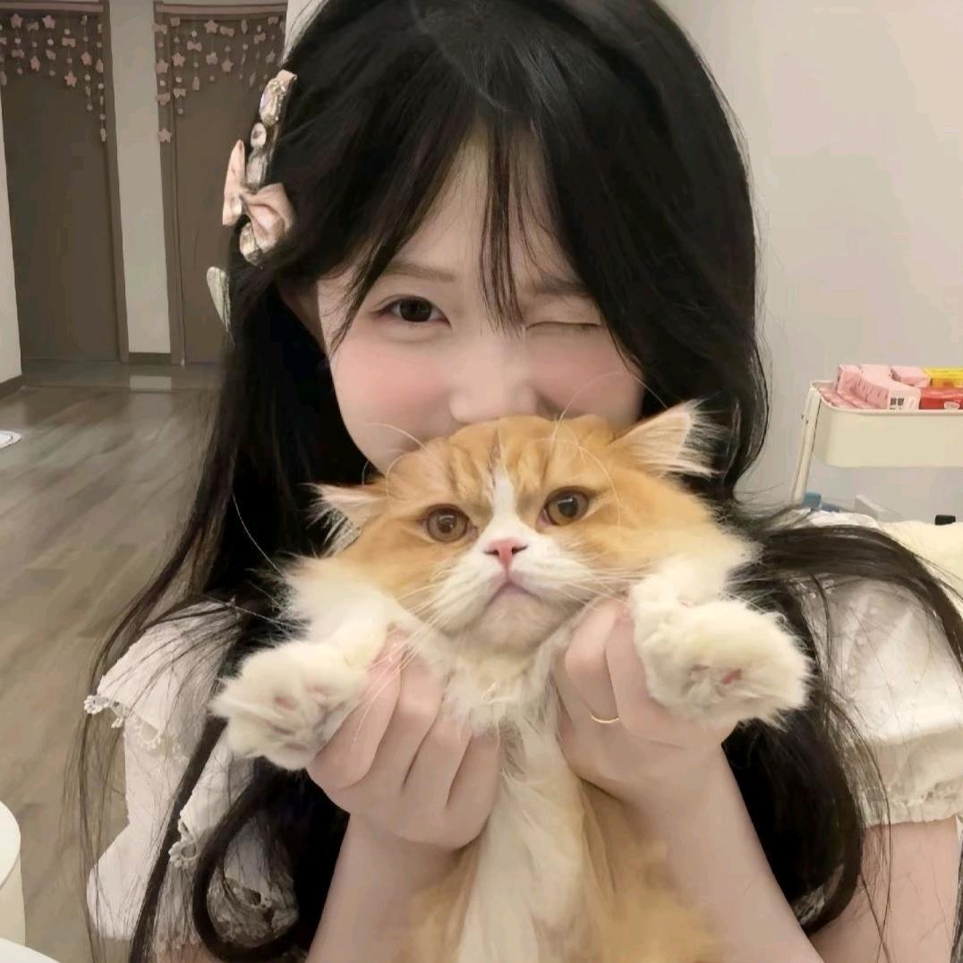 吾乃天之饺子🥟