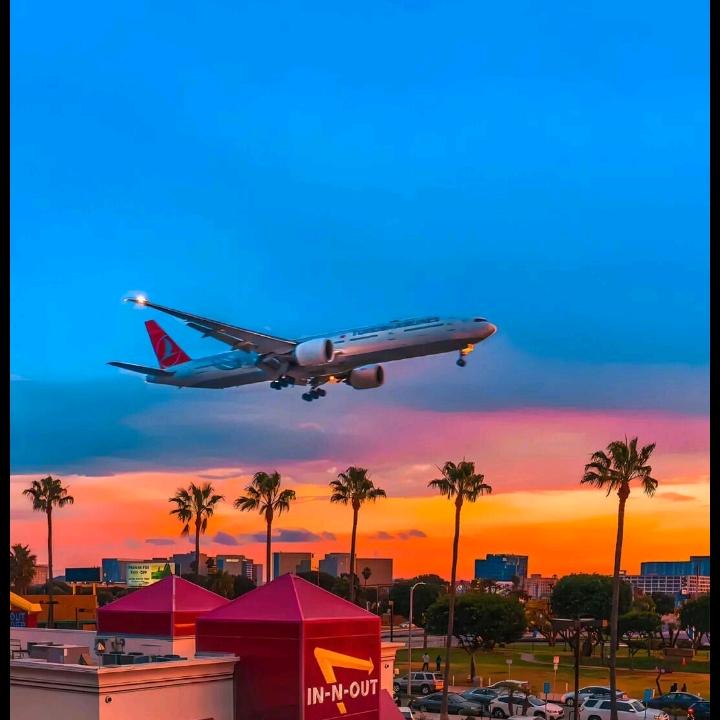 鹰击长空