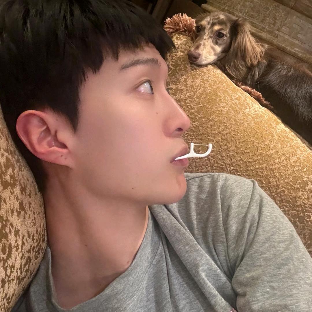 晚安爱丽丝🌙