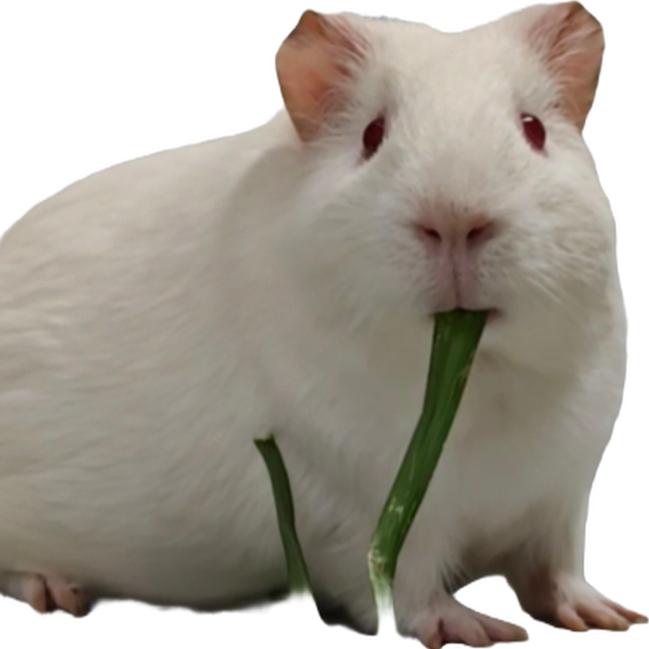 情绪垃圾回收站