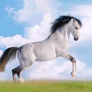 就好，天人合一