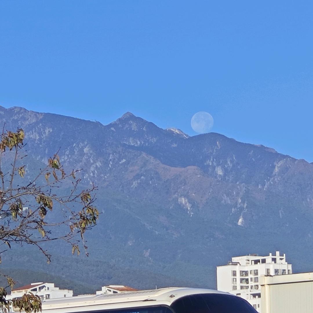 算了吧.