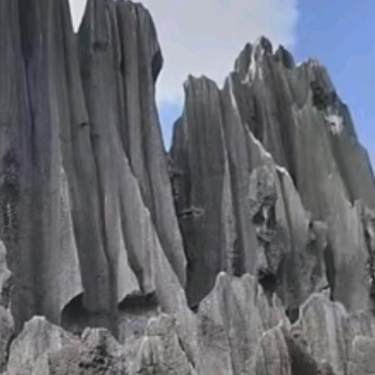 有你相伴