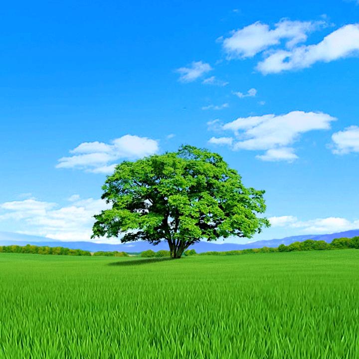 ☞念思☜你一生