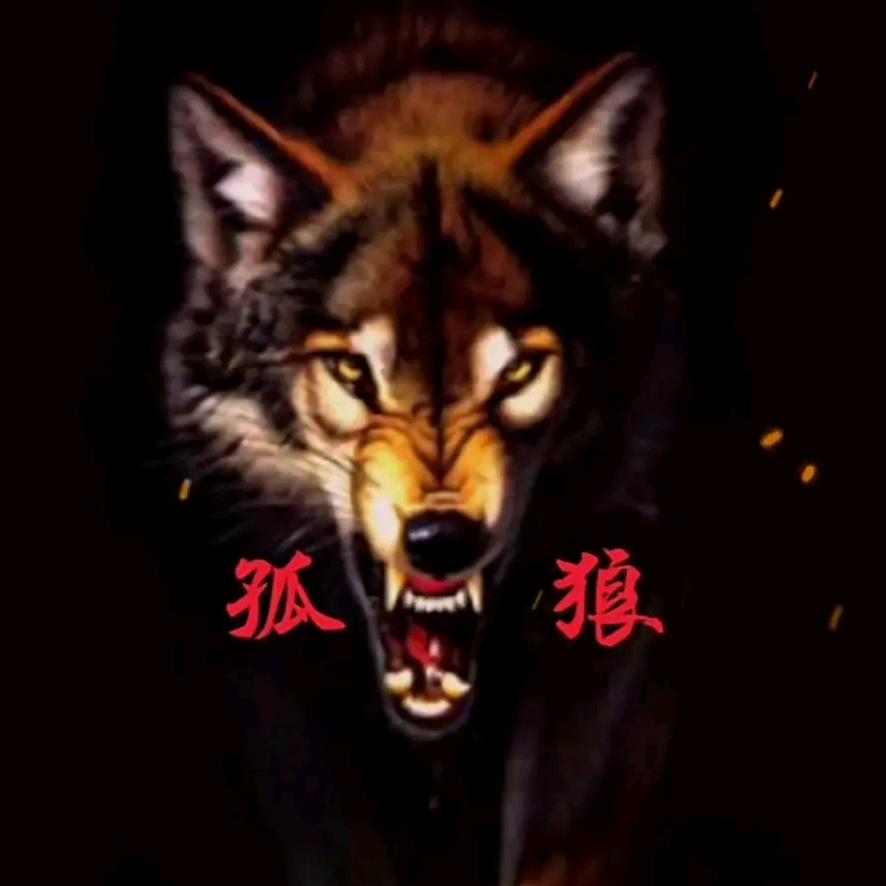 ღ᭄孤🐺狼💕এ