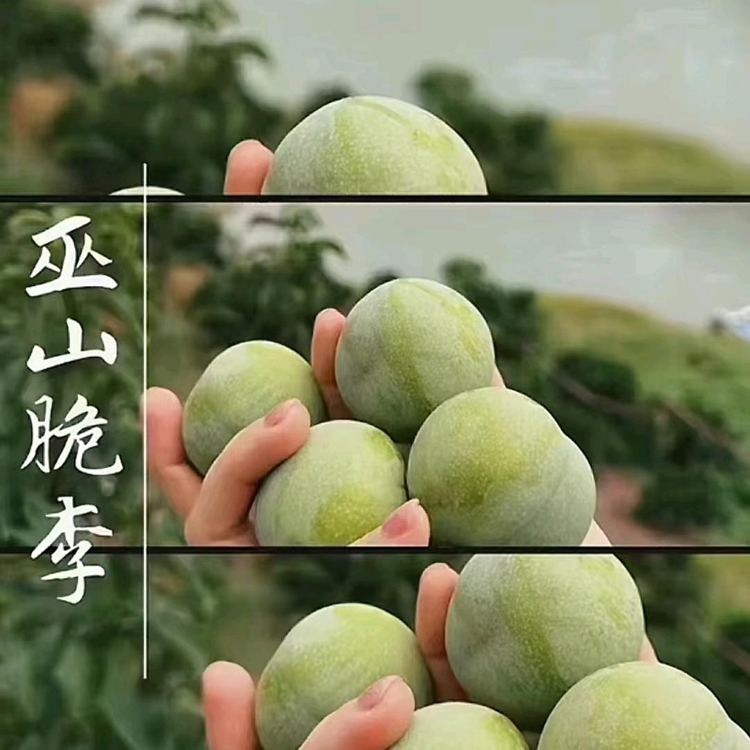 重庆巫山三妹子