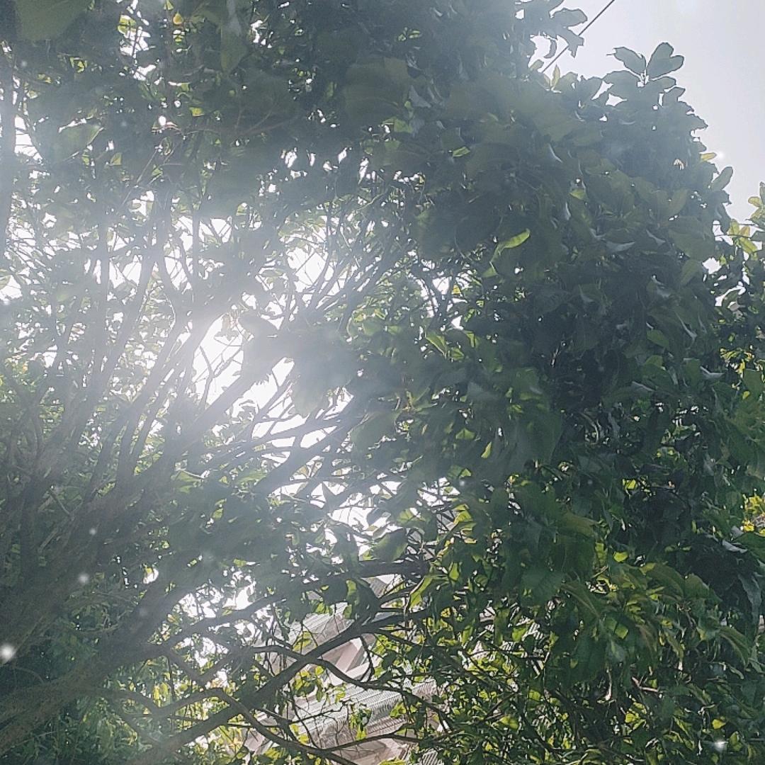 欧派