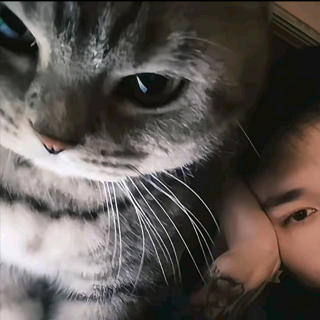 屿界