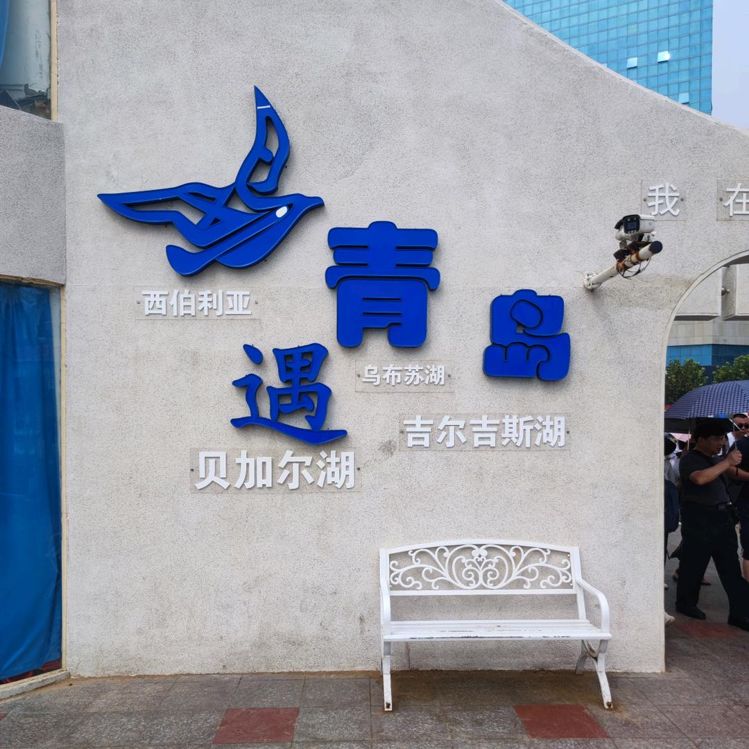 简意