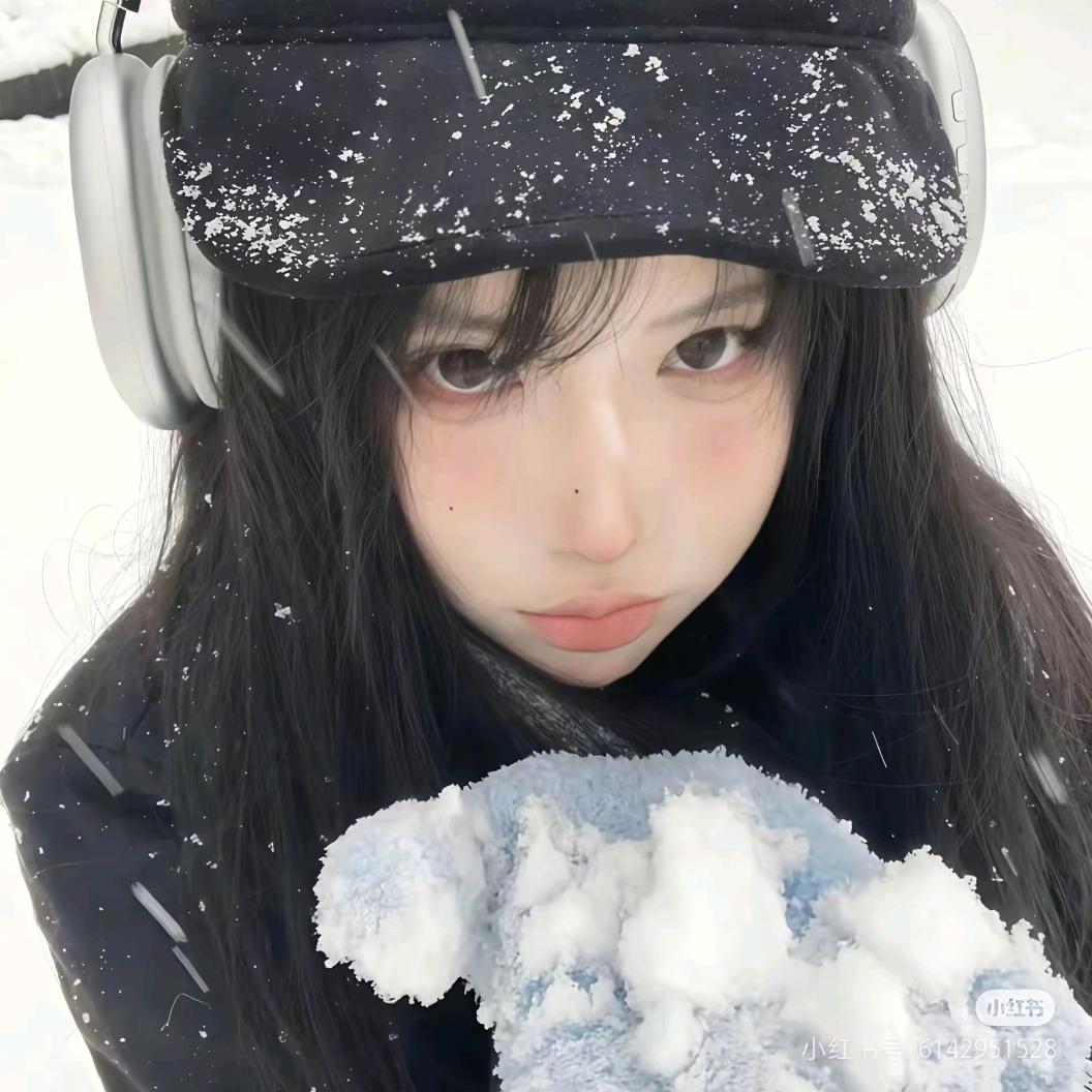 猫猫雪饼