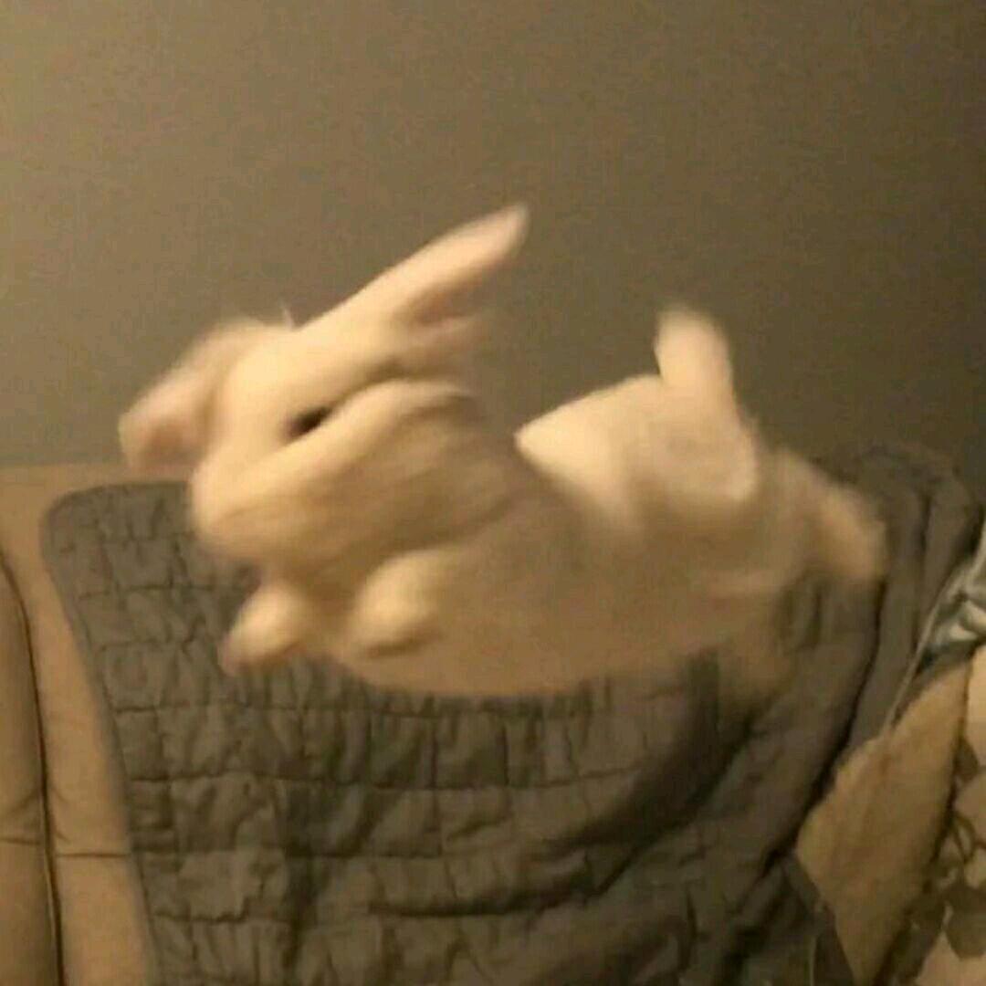 欢乐安地主