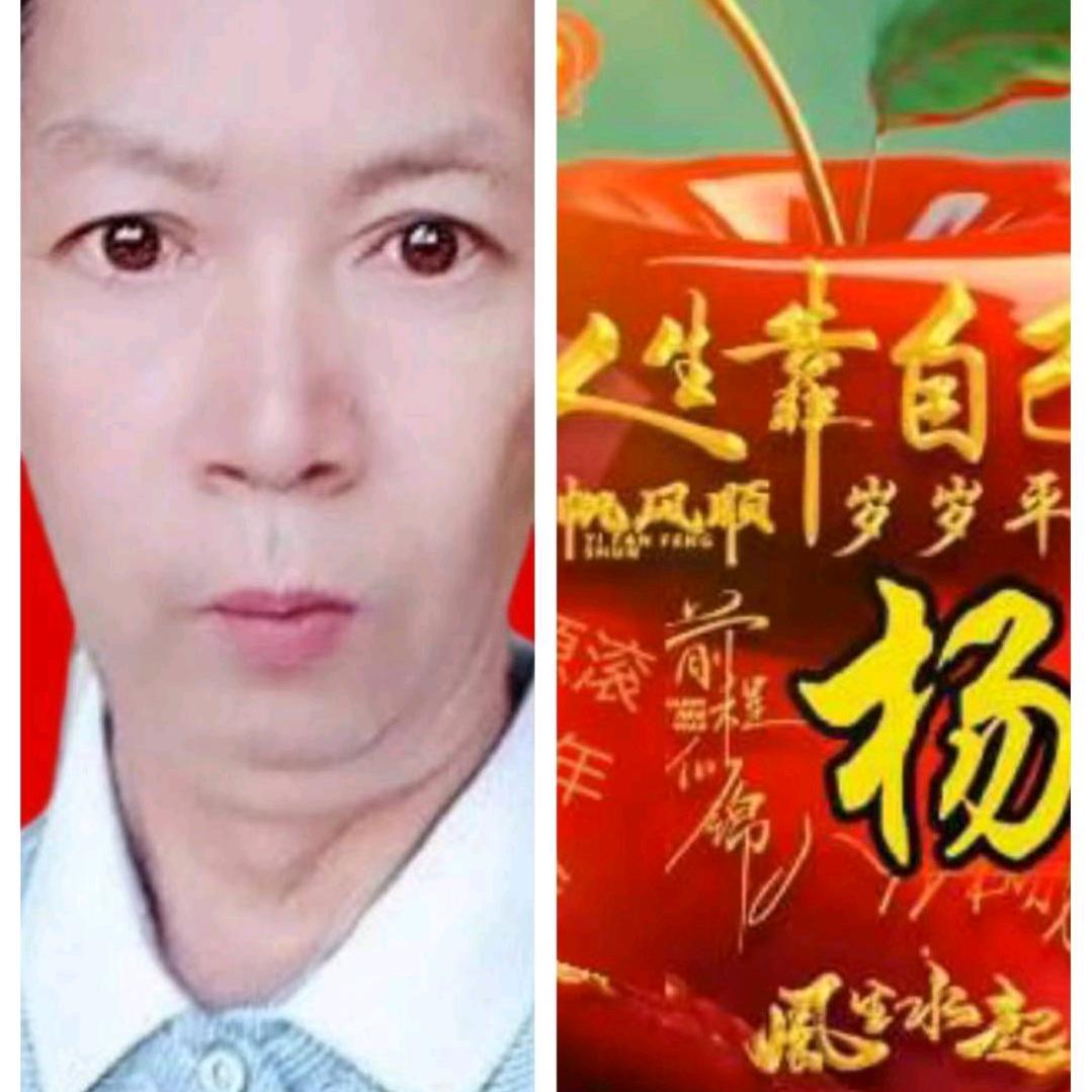 单身杨