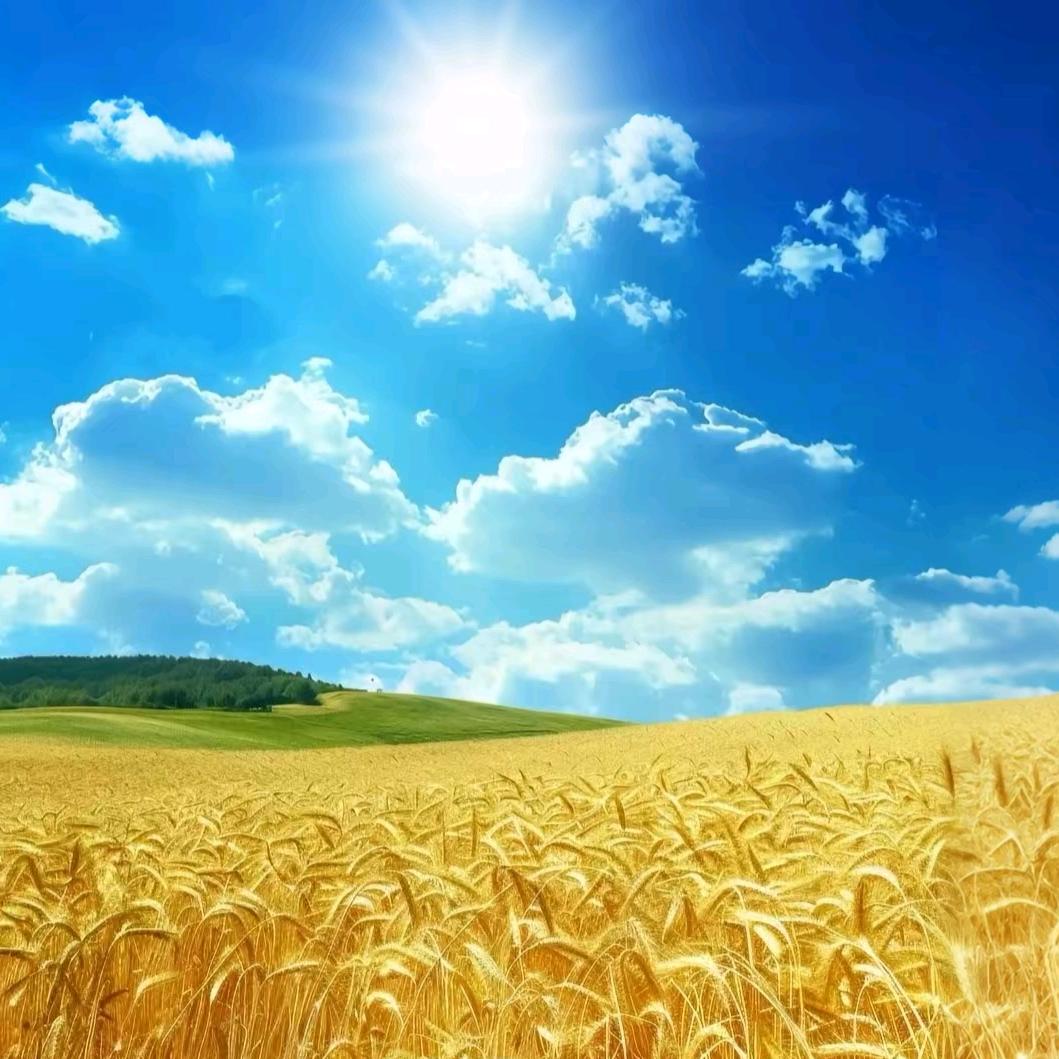 我的成绩很好。