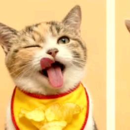 勤禾🌾（十个勤天）