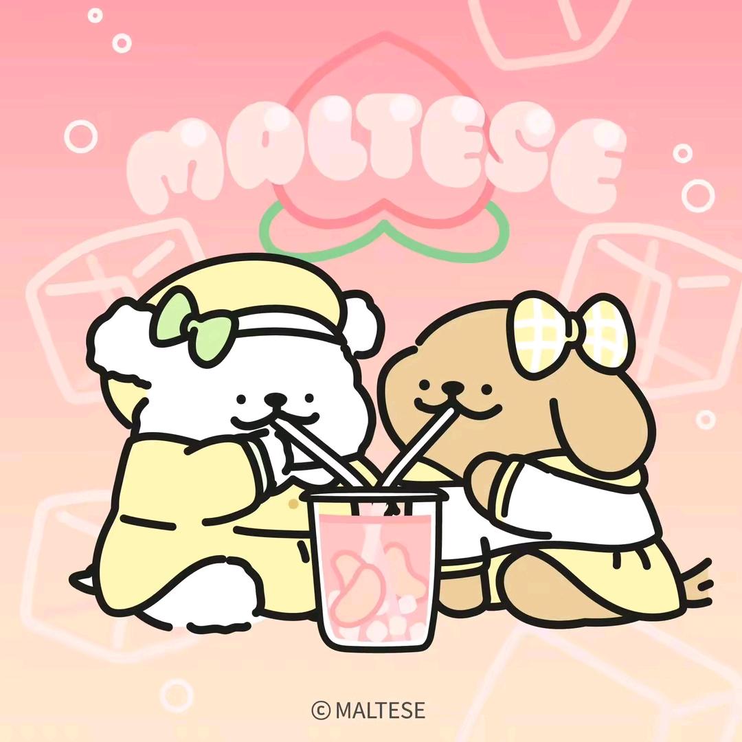 线条💞小兮🍒