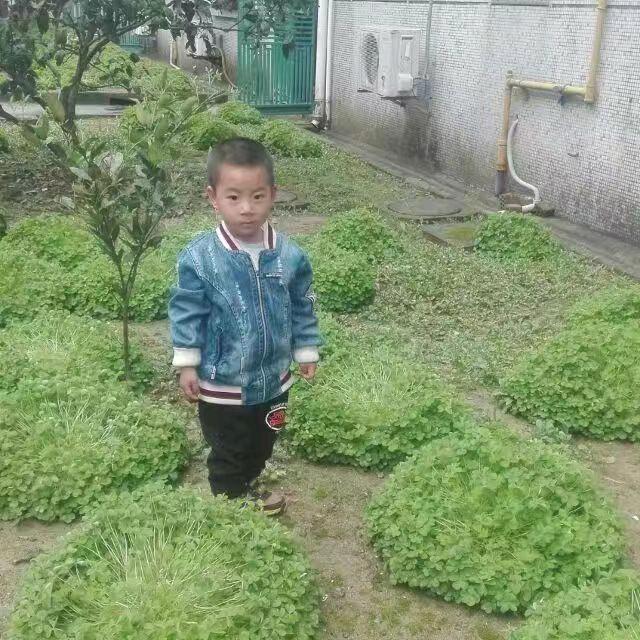 专业水磨钻李师