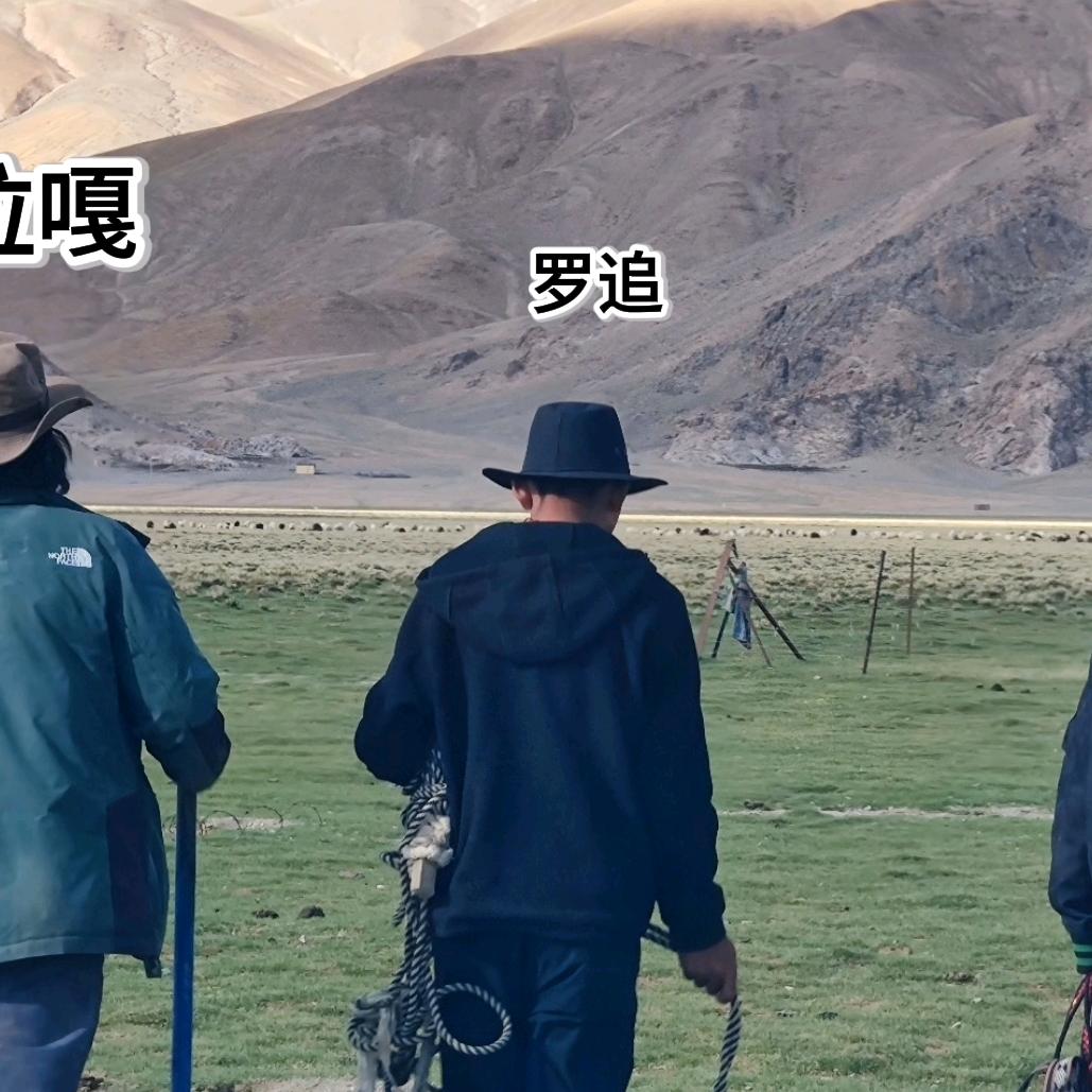 ✨好运连连✨