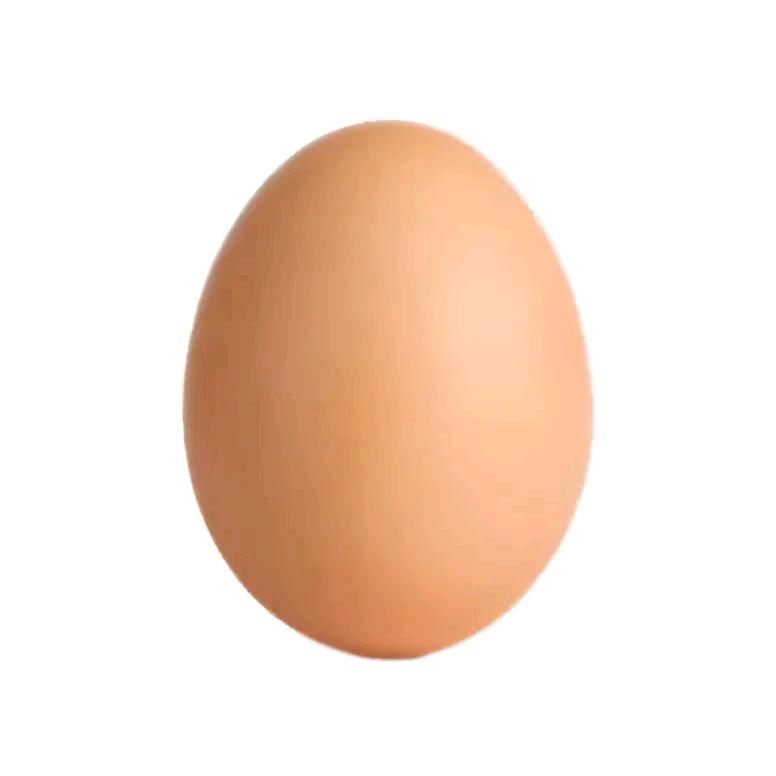 蛋