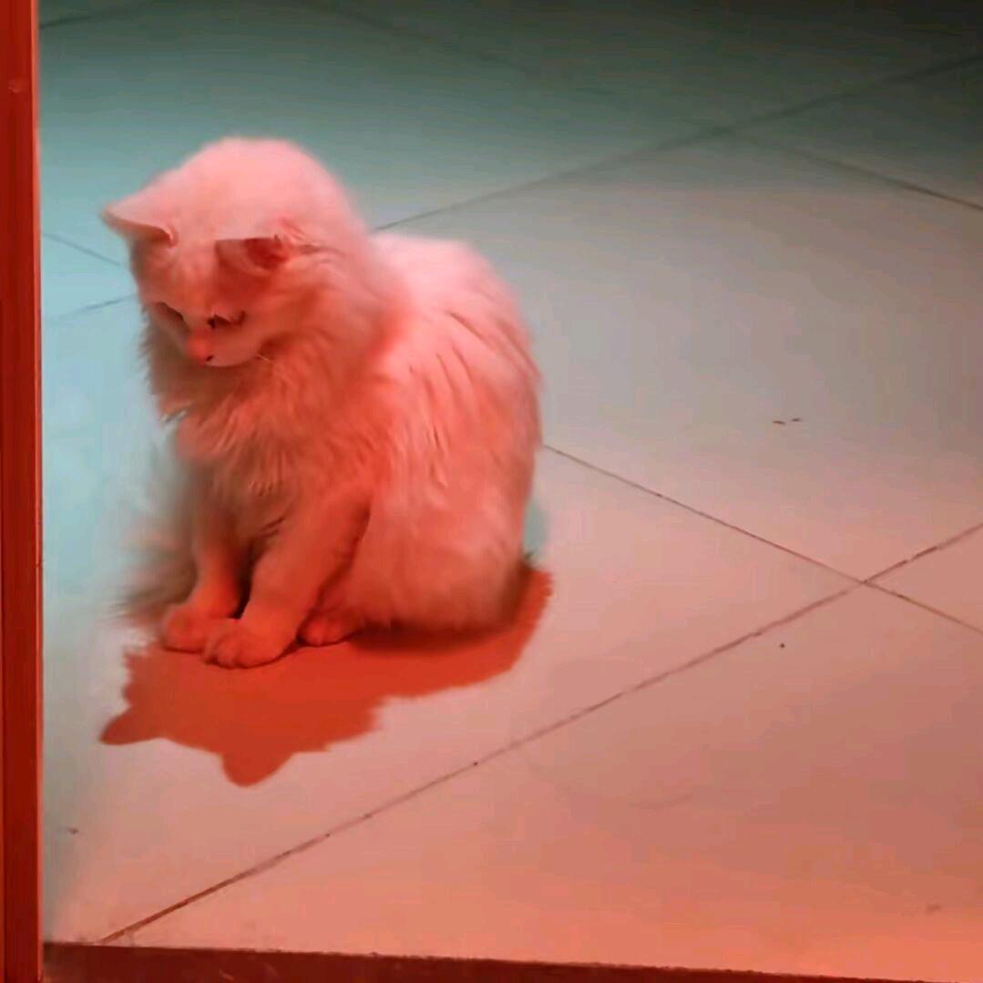 People who can't cry