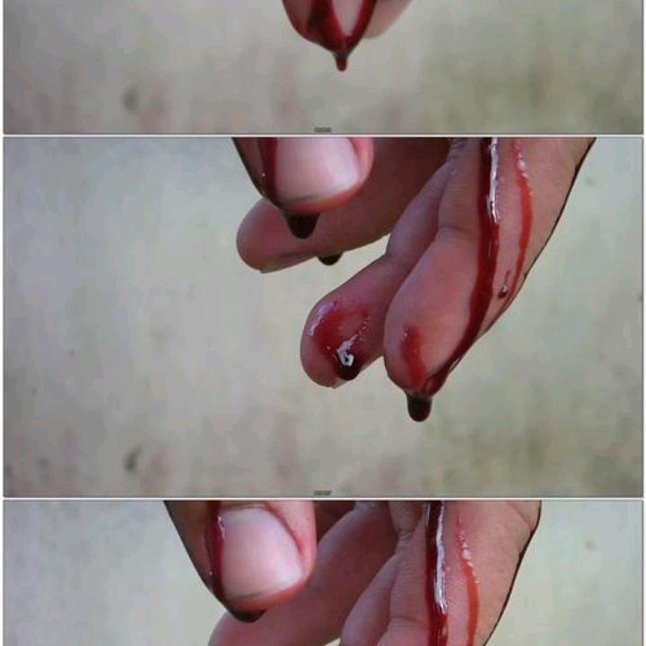 人生无悔