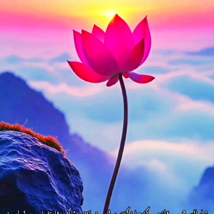 @💞OTNA  世界 BU💞