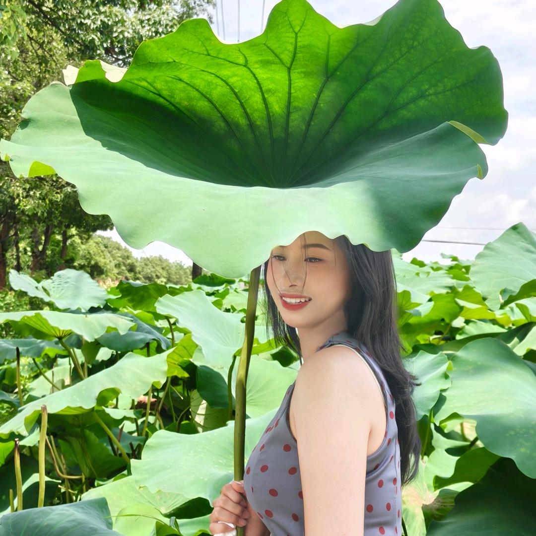 毛同学的日常