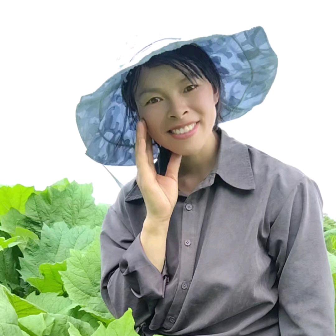 星河漫游
