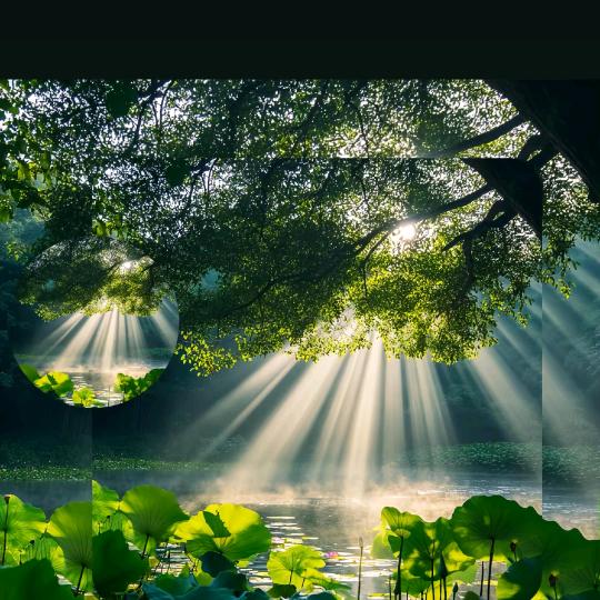 ✨꯭S꯭ᴛ꯭ᴀ꯭ʀ꯭s꯭ง⍢⃝ว 星辰✨