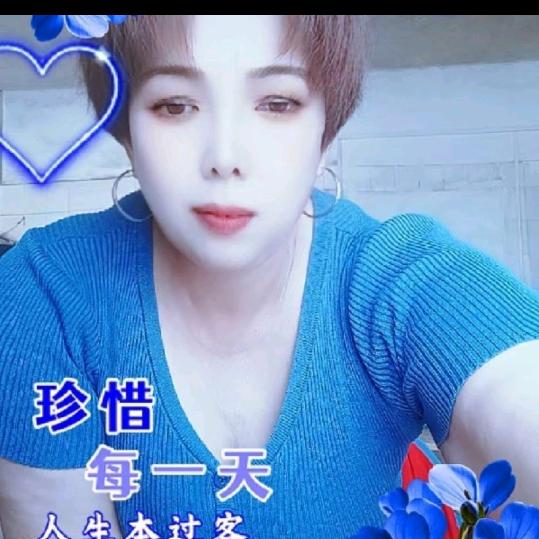 漂泊的心