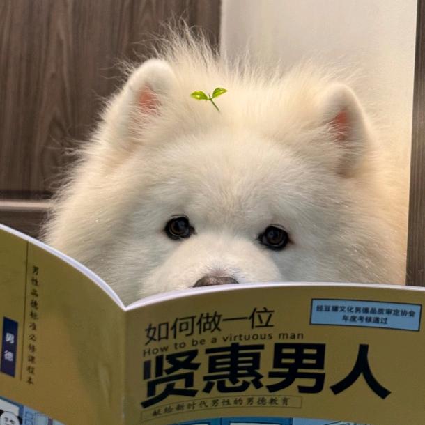 帅到小美倒追我