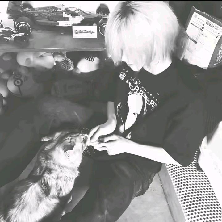 麻烦不会找上我