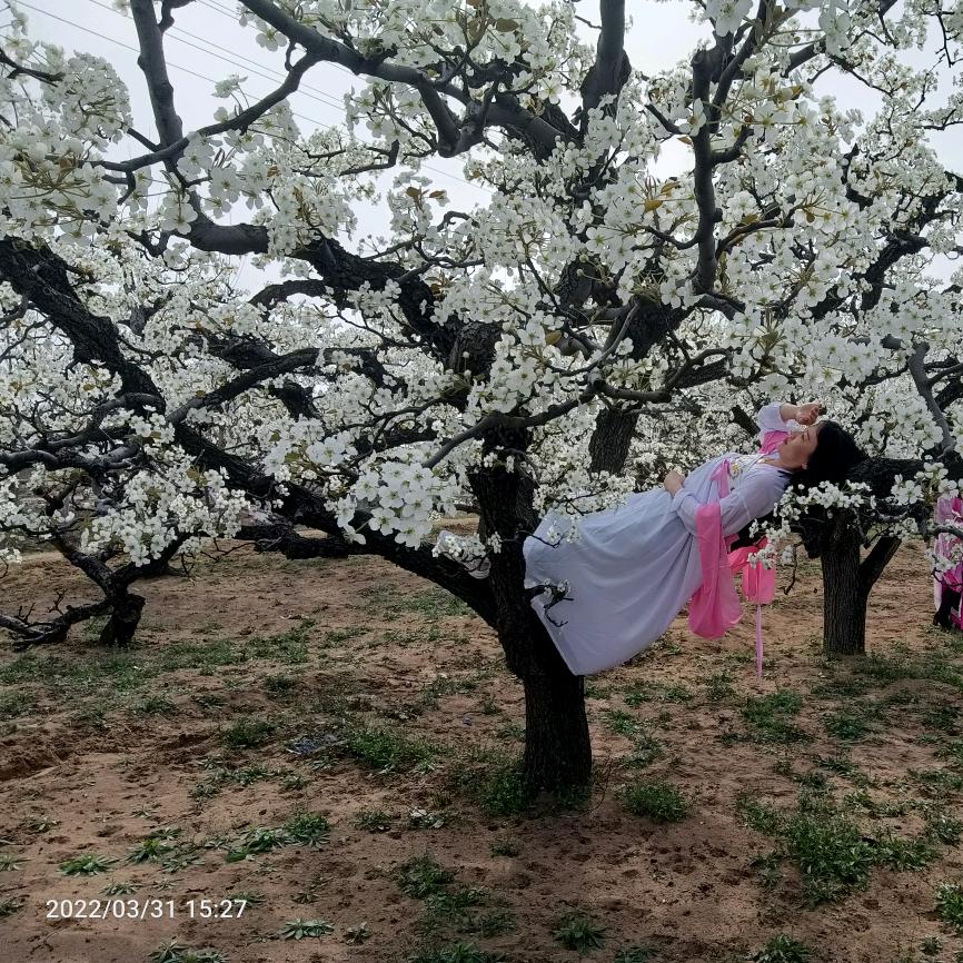 明人不说暗话~我喜欢你&