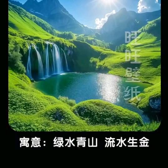 雨荷