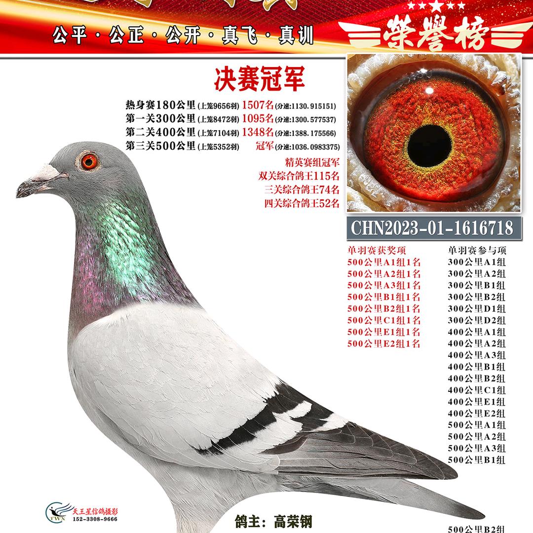 北京高荣钢鸽舍