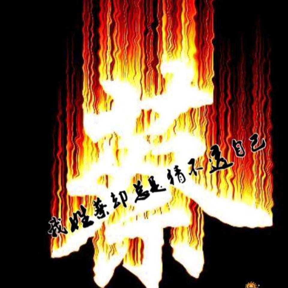 招财进宝