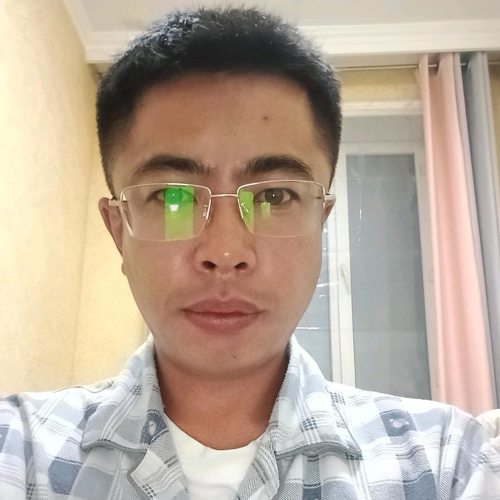 会飞的鸟