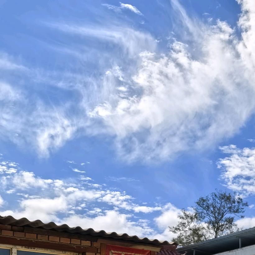 木子杨的杨🇨🇳🤞