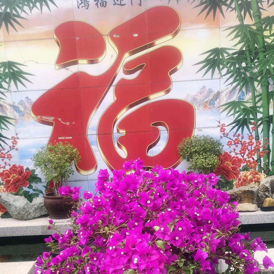 生平安乐