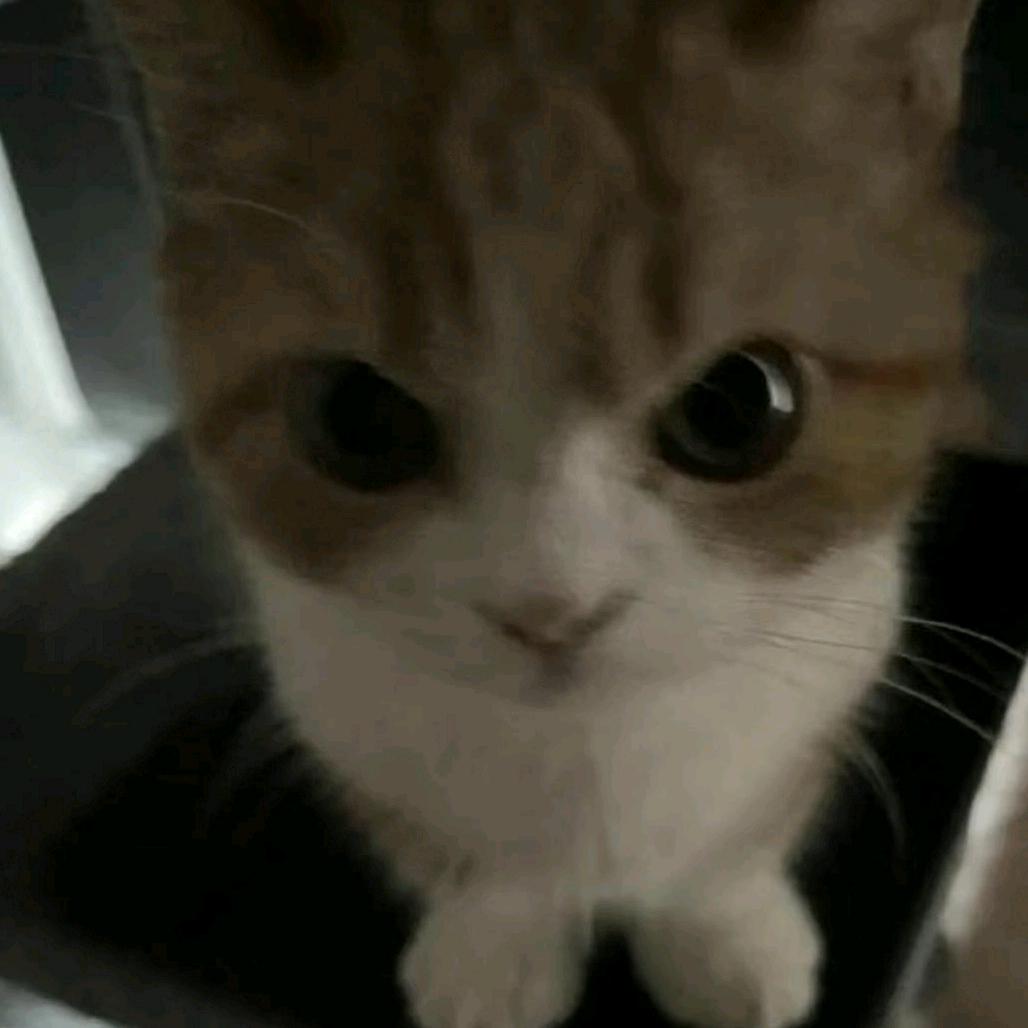 我也胖