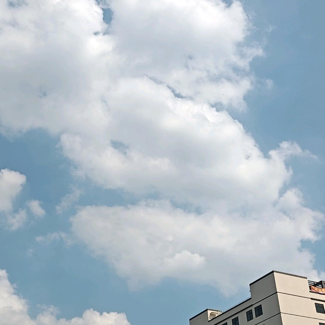 园州项目经理（阿华）