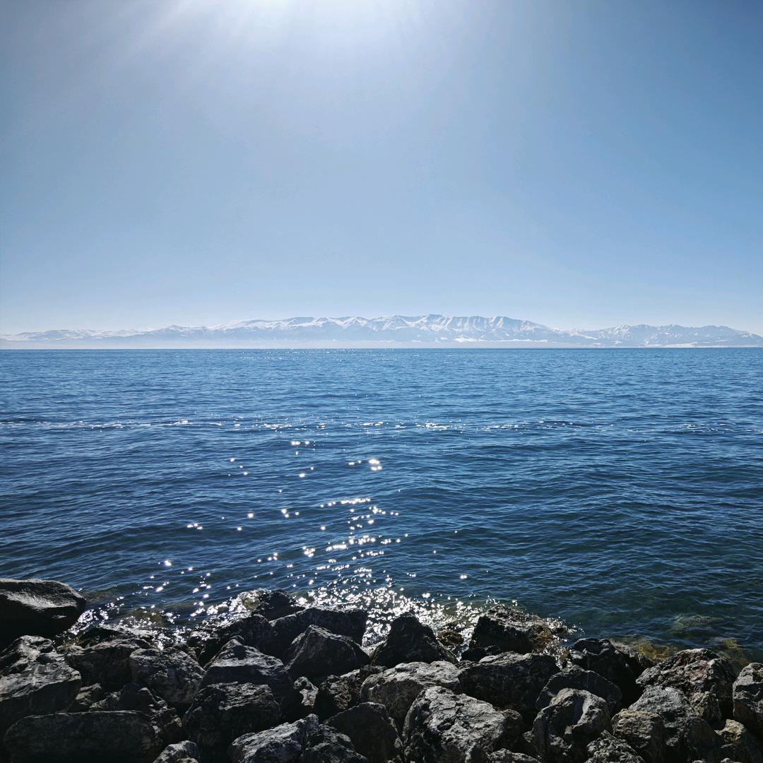 什么都喜欢什么都会