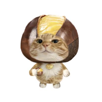 贫僧爱用飘柔🏸