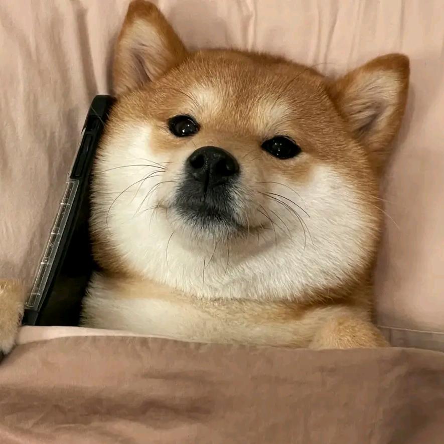 啊哦