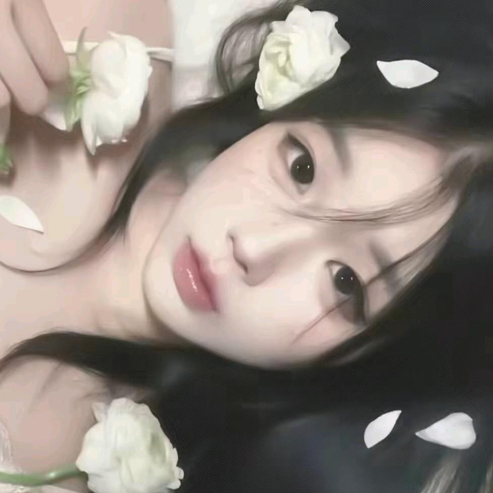 绯昙