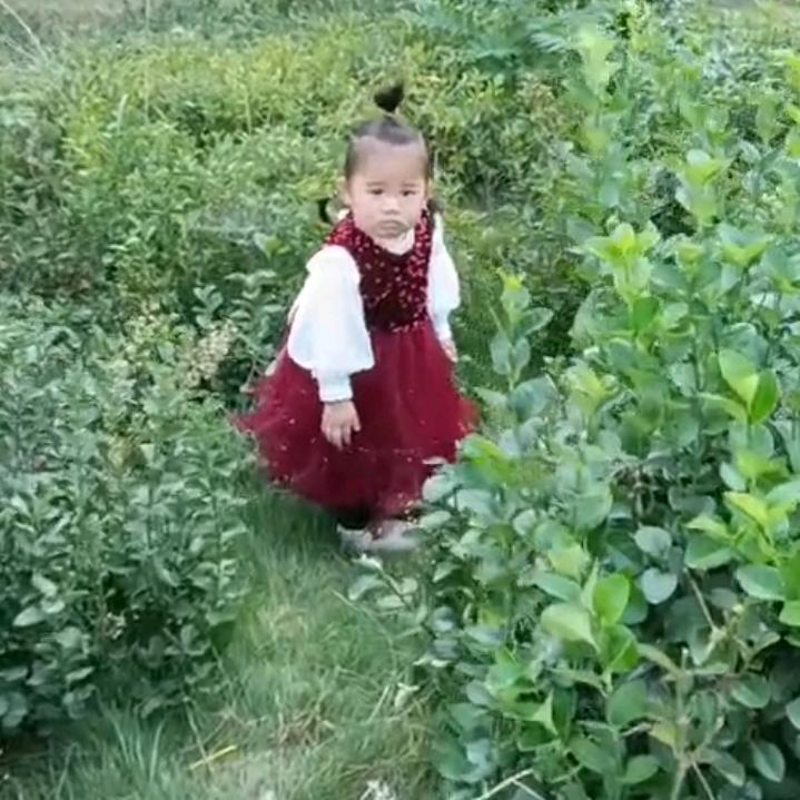 晨雪